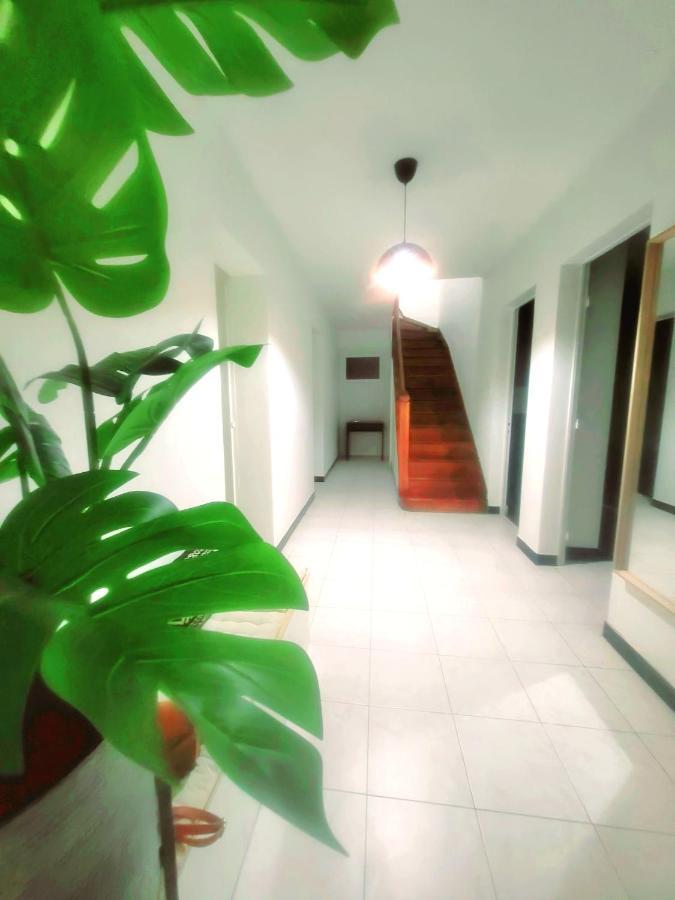 Maison De Charme Toulouse Dış mekan fotoğraf